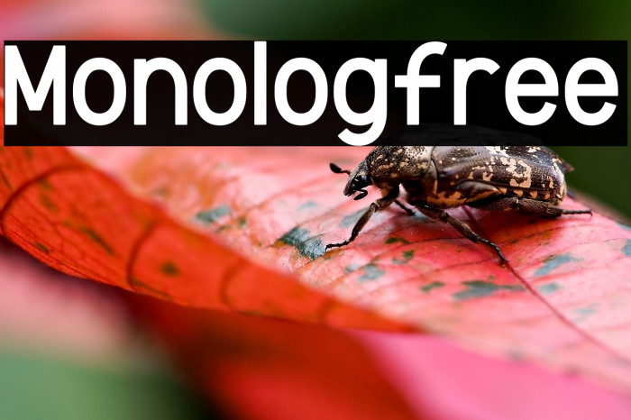 Monolog-free Example 2