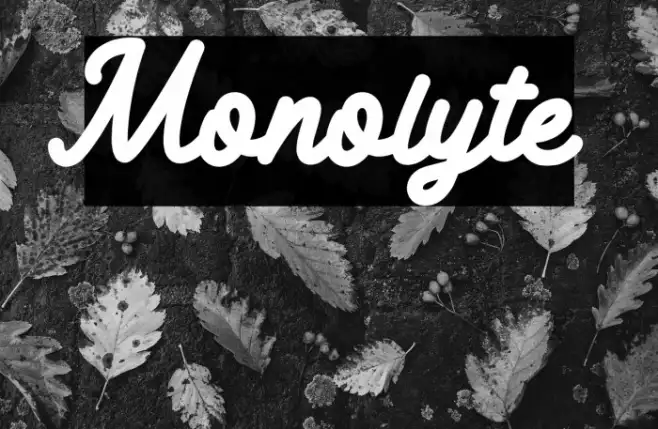 Monolyte Example 2