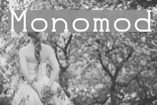 Monomod Font examples