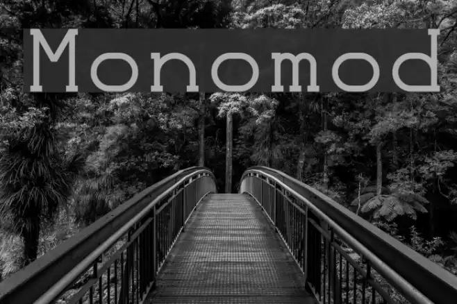 Monomod Font examples