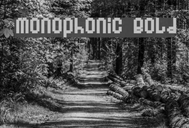 Monophonic Bold خط examples