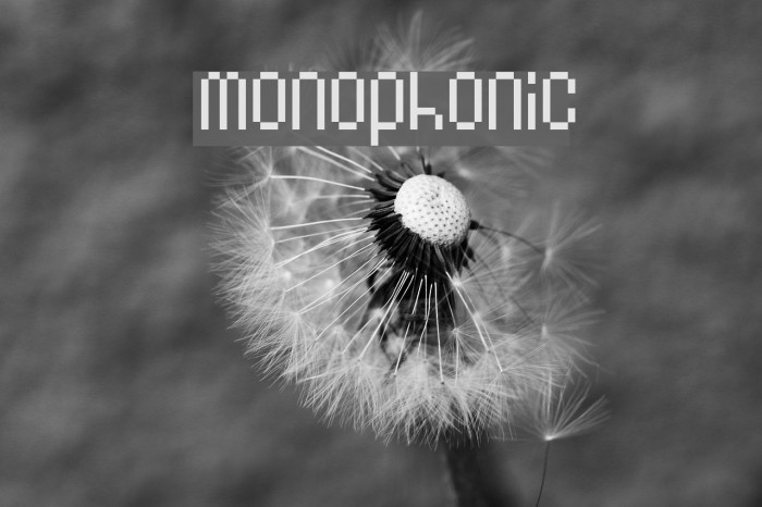 Monophonic Font examples