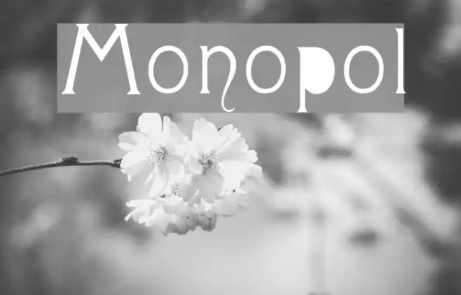 Monopol Example 3
