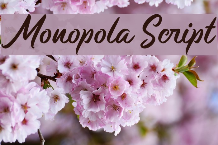 Monopola Script Font examples