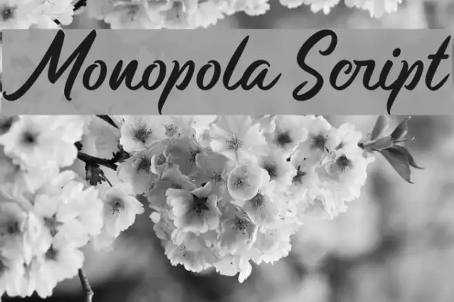 Monopola Script Example 2
