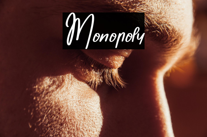 Monopoly Example 2