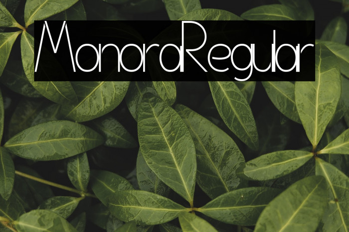 Monora Regular Example 1