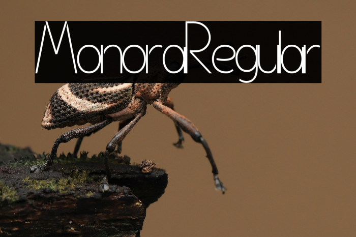 Monora Regular Example 3