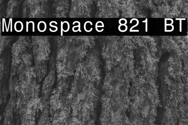 Monospace 821 BT Font examples