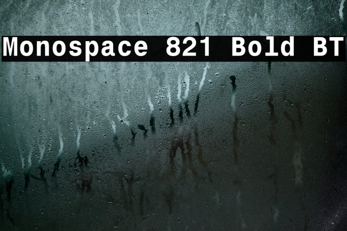 Monospace 821 Bold BT Font examples