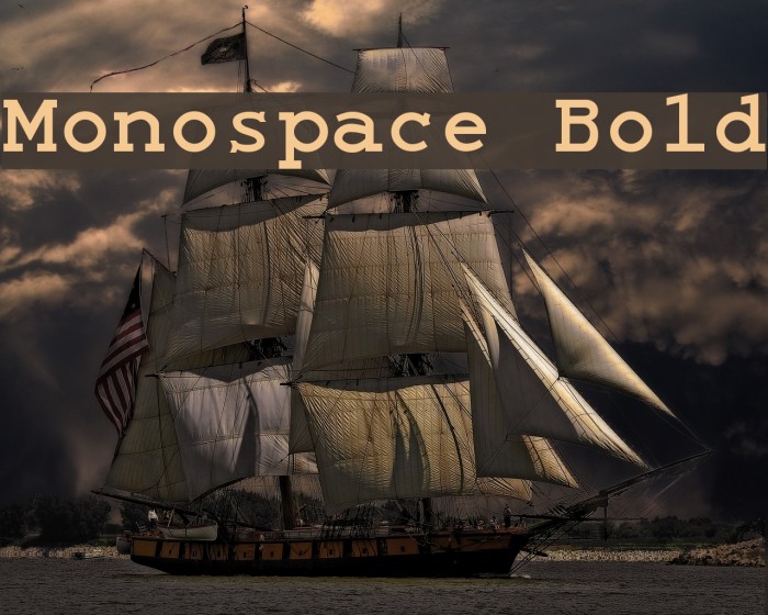 Monospace Bold Font examples