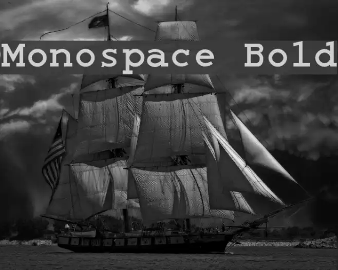 Monospace Bold Example 1