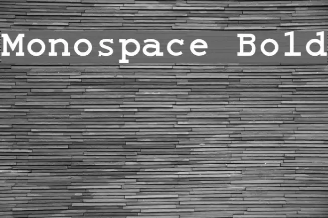 Monospace Bold Example 2