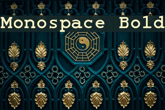 Monospace Bold Font examples