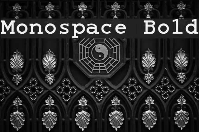 Monospace Bold Example 3
