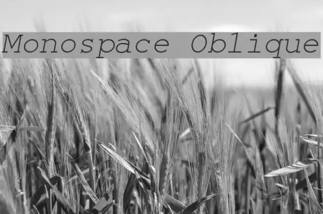 Monospace Oblique Example 2