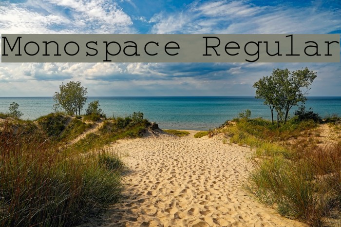 Monospace Regular Font examples
