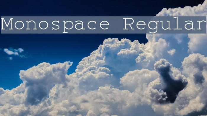 Monospace Regular Font examples