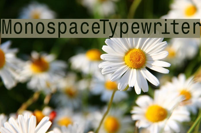 MonospaceTypewriter Font examples