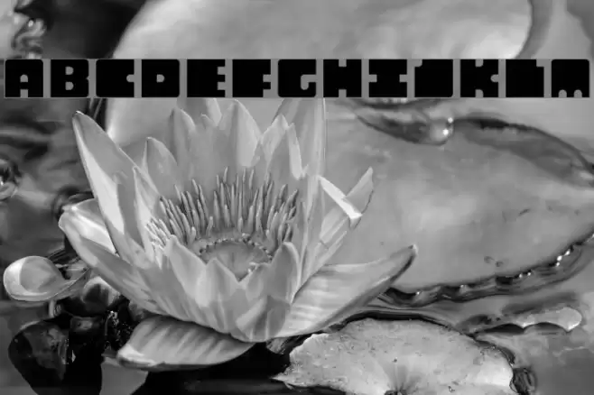 Monosquare Extended Regular Font examples