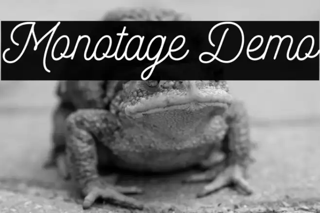 Monotage Demo Example 1