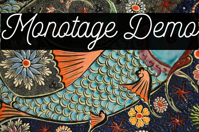 Monotage Demo Example 2