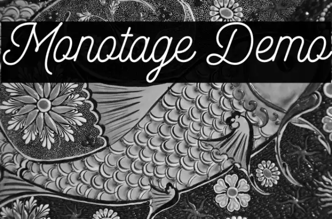 Monotage Demo Example 2