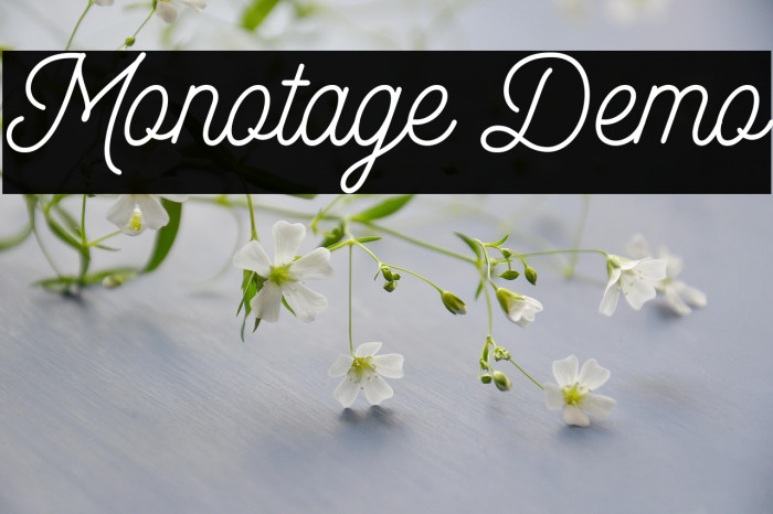 Monotage Demo Example 3