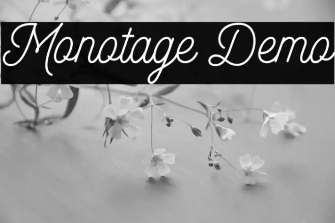 Monotage Demo Example 3