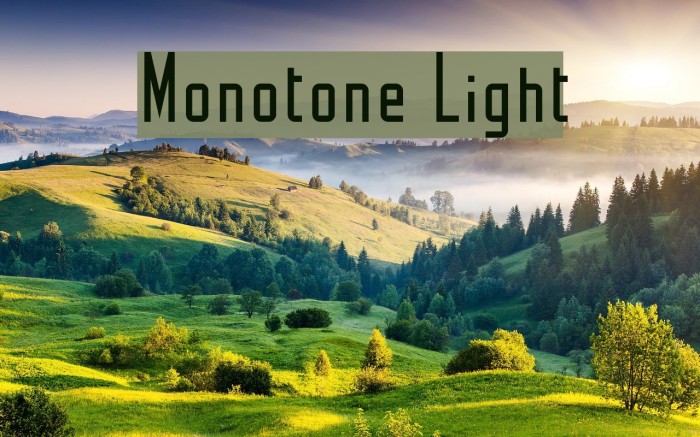 Monotone Light Font examples