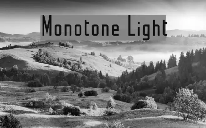 Monotone Light Example 2