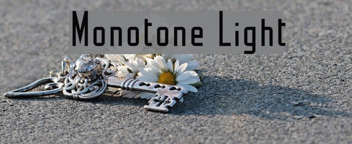 Monotone Light Font examples