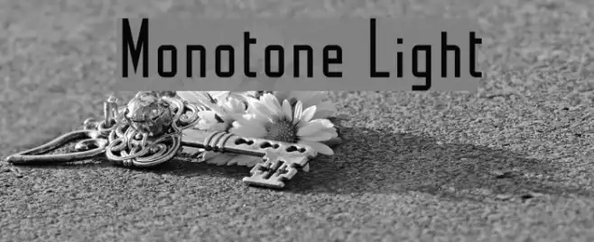 Monotone Light Example 3