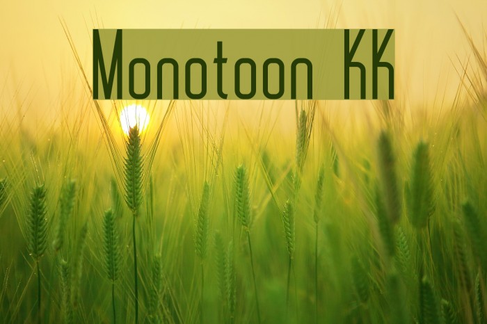 Monotoon KK Font examples