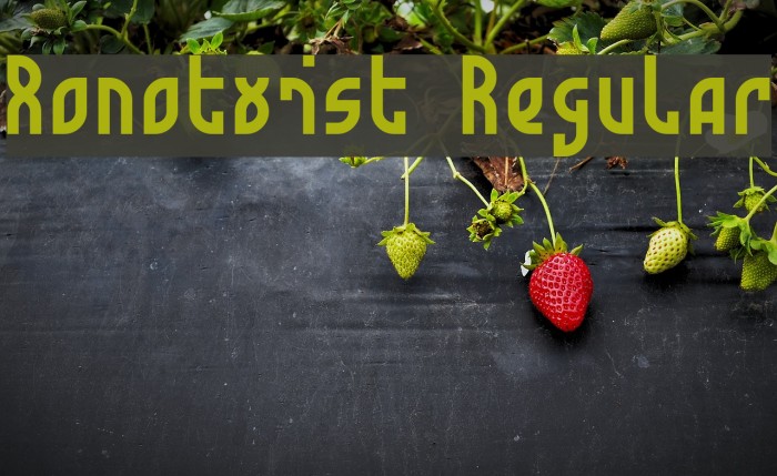 Monotwist Regular Example 1