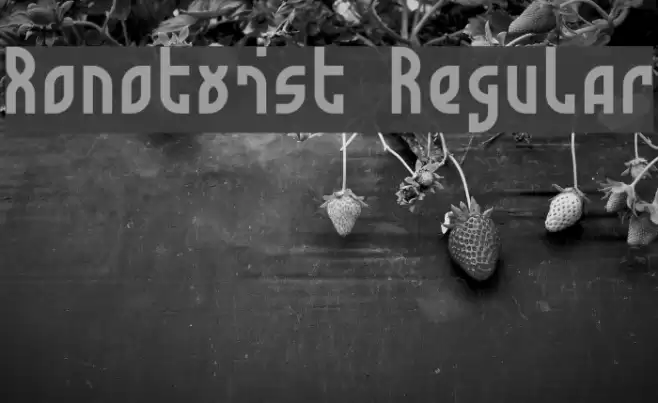 Monotwist Regular Font examples
