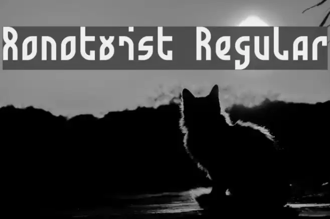 Monotwist Regular Font examples