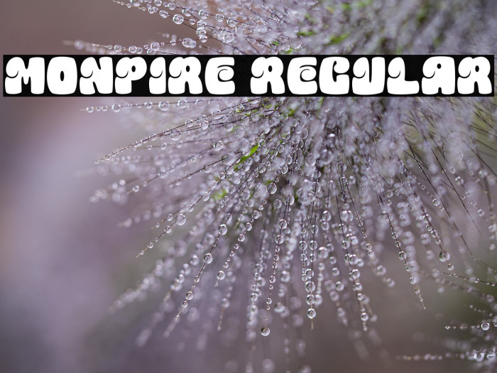 Monpire Regular Example 1