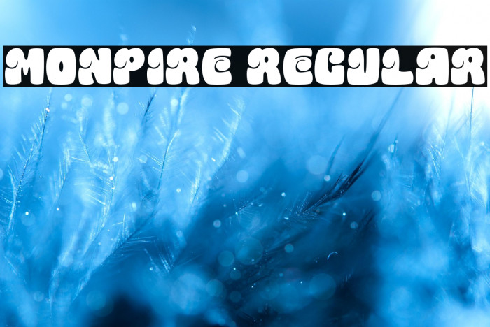 Monpire Regular Example 2