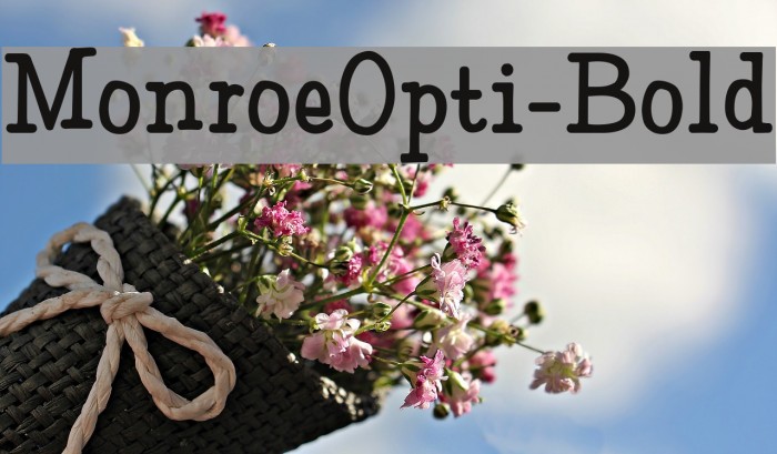 MonroeOpti-Bold Example 1