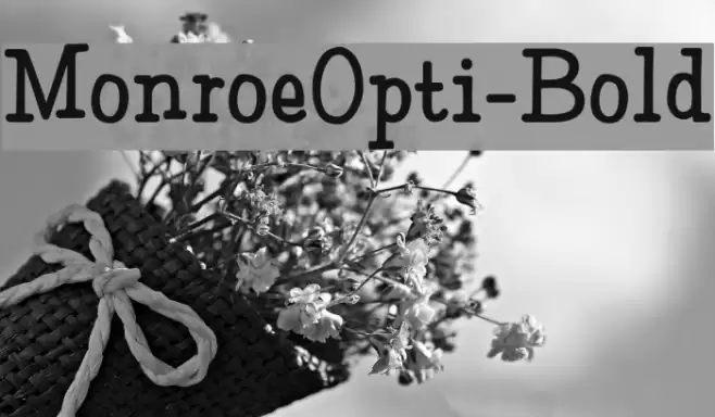 MonroeOpti-Bold Font examples