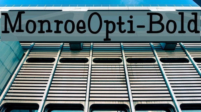 MonroeOpti-Bold Example 2