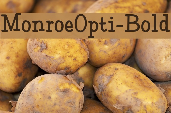 MonroeOpti-Bold Example 3