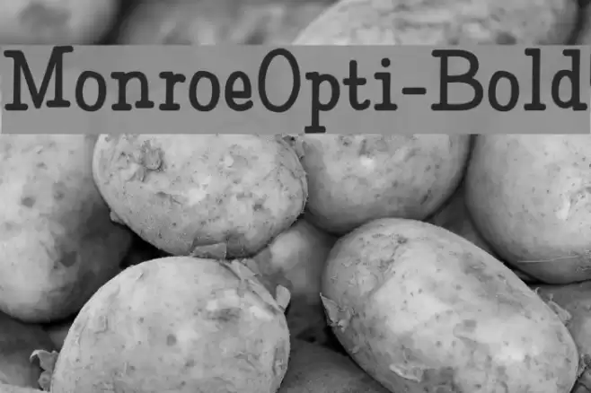 MonroeOpti-Bold Font examples