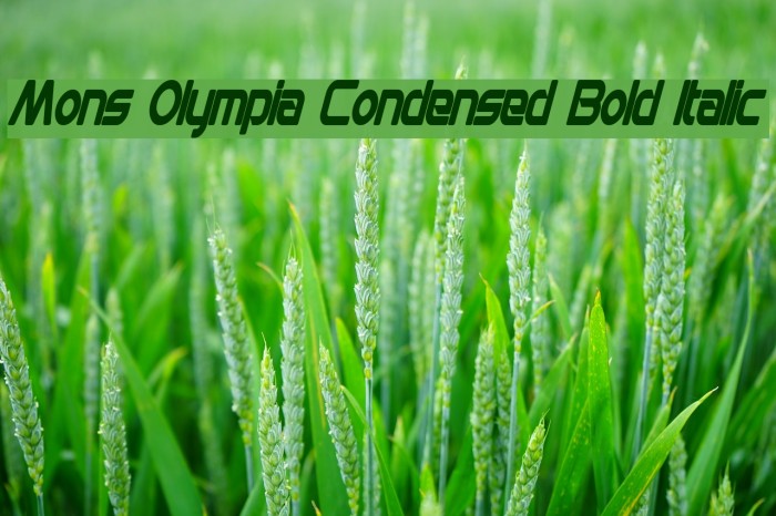 Mons Olympia Condensed Bold Italic Font examples