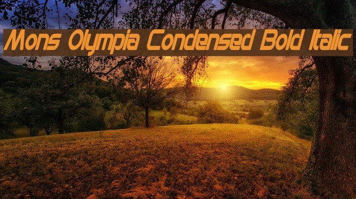 Mons Olympia Condensed Bold Italic Font examples