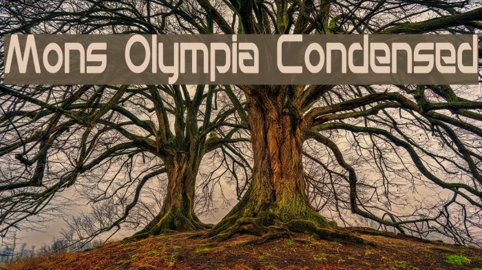Mons Olympia Condensed Font examples
