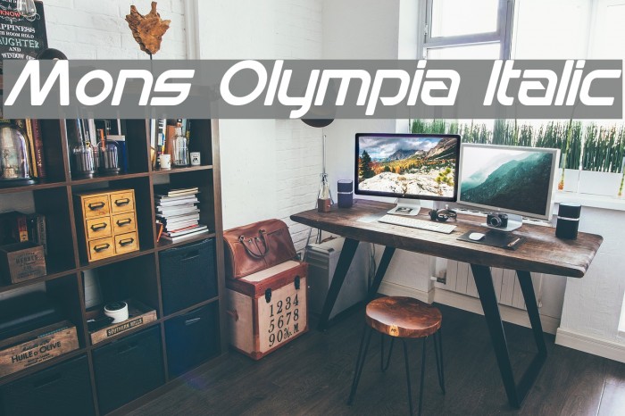 Mons Olympia Italic Example 1