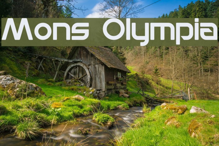 Mons Olympia Example 1