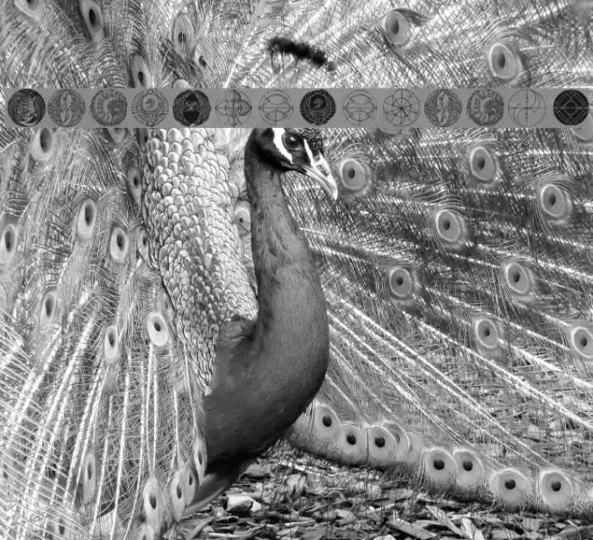 MonsTheSecondA Font examples